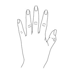 Hand vector illustration.