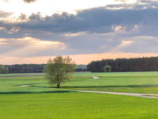Podlasie. Podlachia. Poland, Europe.