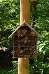 nice wooden forest bug hotel