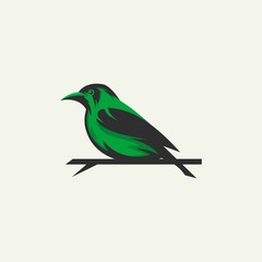 Fototapeta premium bird logo illustration - light background vector design