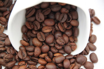 coffee beans in a white cup