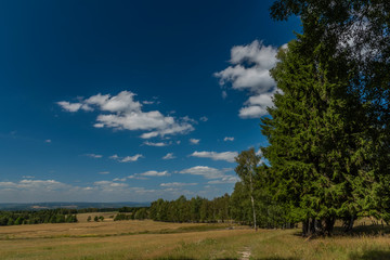 Fototapeta na wymiar Meadows and pasture land near vanished village Smrkovec in summer hot day