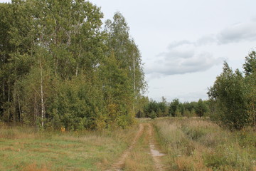 Obraz premium Russian nature (beginning of autumn)