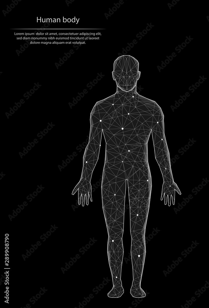 Wall mural abstract image human body in the form of lines and dots, consisting of triangles and geometric shape