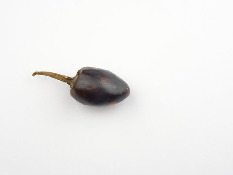 Dried Rattle Mexican Pepper, also known as cascabel chili and rattle chili on a blue background