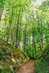Obraz premium Herbst in Binz auf Rügen