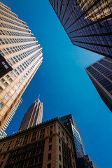 Fototapeta na wymiar New York buildings seen from frog persective