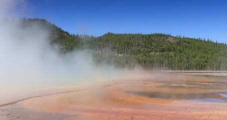 Yellowstone National Park geyser basin steam. Geothermal ecosystem environment. Largest super volcano on the continent. Biology geography and ecology. Millions of tourist.