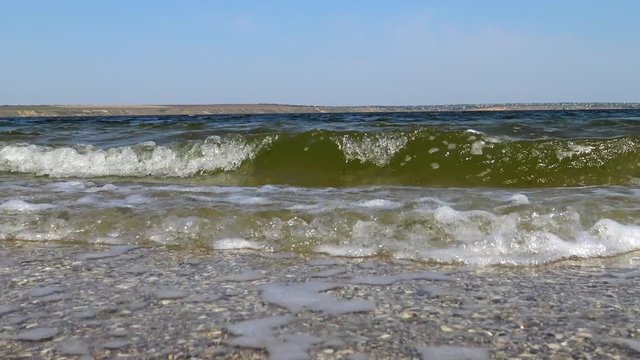 Dirty water with microalgae waves go towards the camera on the sandy spit of the Tiligul estuary, Ukraine