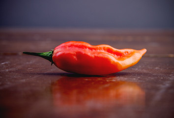 Habanero chili pepper