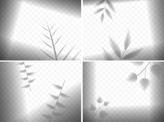 Realistic leaves shadows in frames composition