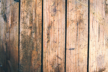 Fototapeta premium Wood texture