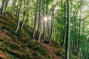 Herbst in Binz auf Rügen