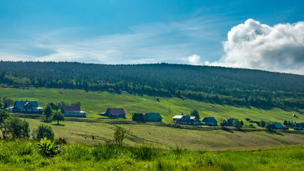 Obraz premium Green field, houses and bright sun.