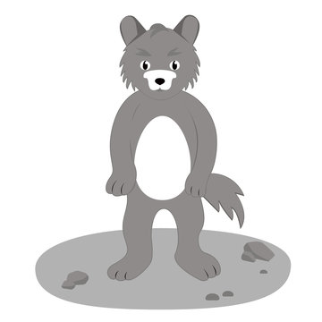 gray wolf, drawing, vector illustration in cartoon style