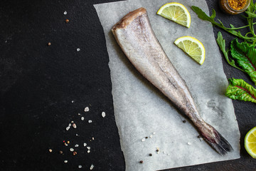 fish raw hake (set of ingredients for cooking). food background. top view. copy space