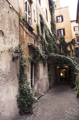 Fototapeta na wymiar Walk through the streets of Rome nice corner