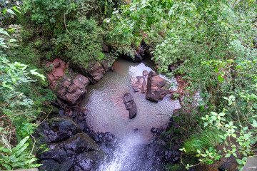 Laguna entre vegetación