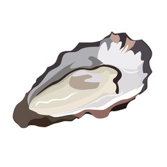 Oyster in shell icon isolated on white background, fresh seafood, healthy food, vector illustration.