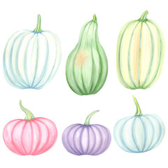 Set with pastel pumpkin on a white background.  Hand painted in watercolor.