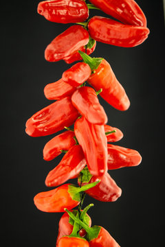 Chilli-Schoten