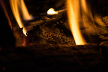 Bonfire, close-up of burning wood