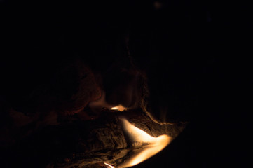 Bonfire, close-up of burning wood