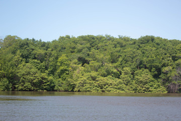 Pregui&ccedil;a's River - Le&ccedil;&oacute;is Maranhenses Maranh&atilde;o Brazil