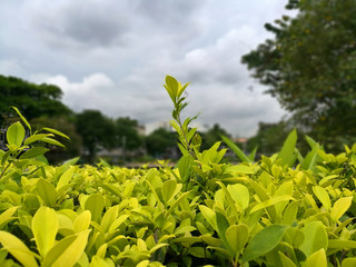 Bangkok - Santiphap Park (Peace Park)