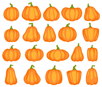 Cartoon pumpkin. Different shapes and sizes of orange gourd, agriculture harvest vegetable. Thanksgiving or halloween vector design