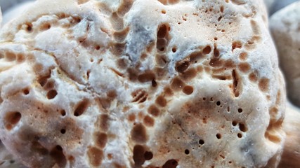 close up of cake