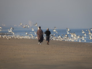 People walking on the beach