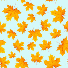maple leaf pattern.  menthol background