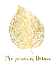 The power of nature - golden leaf
