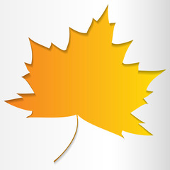 Maple leaves colorful flat vector icon. Autumn background, cutout paper frame of yellow maple leave.