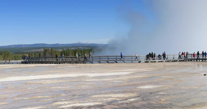Yellowstone National Park geyser basin steam bridge tourists. Geyser Yellowstone National Park in Wyoming, United States. Highly predictable geothermal ecosystem feature.