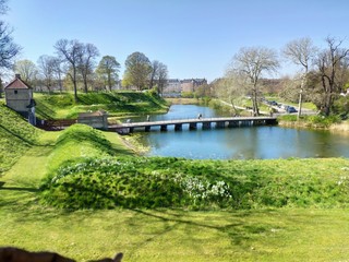 Fototapeta premium lake in the park