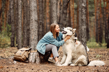 Naklejka na ściany i meble Young Girl with her Dog, Alaskan Malamute, Outdoor at Autumn. Domestic pet