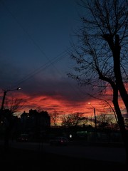 sunset in park