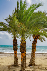  ALTEA, SPAIN - SEPTEMBER 12, 2019: Beautiful views of Altea promenade