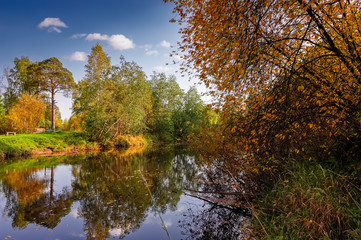 Fototapeta na wymiar Autumn landscape on the banks of a forest river on a sunny warm day.