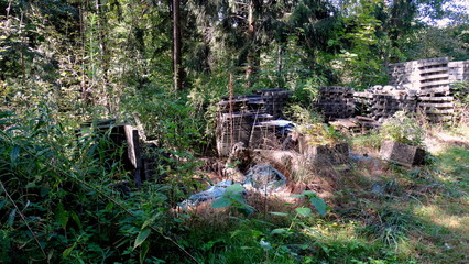 Eingewachsene Baumaterialien