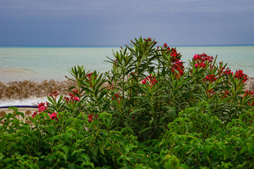 ALTEA, SPAIN - SEPTEMBER 12, 2019: Beautiful views of Altea with gorgeous sea and incredible nature 