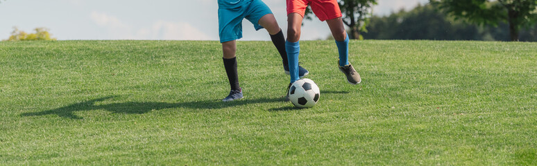 panoramic shot of multicultural children playing football on grass