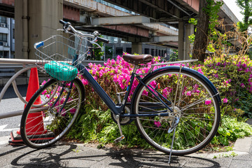 Fototapeta na wymiar blue bicycle and pink blooming flowers and tree near road under bridge