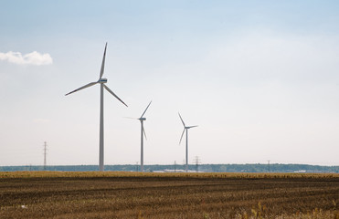 Windmills generating electricity in the field. Technical concept, electricity production. Renewable energy sources, using wind power to produce electricity.
