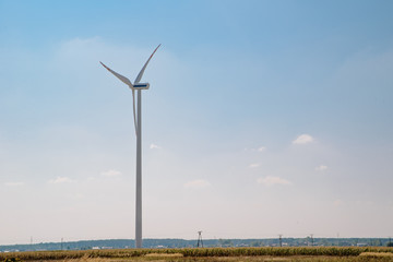 Windmills generating electricity in the field. Technical concept, electricity production. Renewable energy sources, using wind power to produce electricity.
