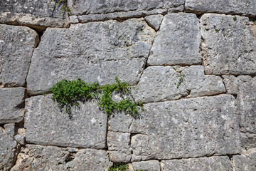 The ancient megalithic walls surround the acropolis of Amelia, in Umbria, Italy. Texture composed...