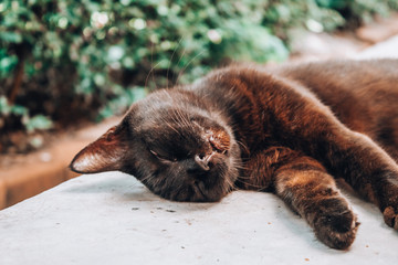 Thailand Photography