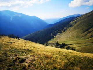 Obraz premium Alpine landscape with green mountains and blue sky covered with white clouds. Fagaras - trail to the Lespezi Peak